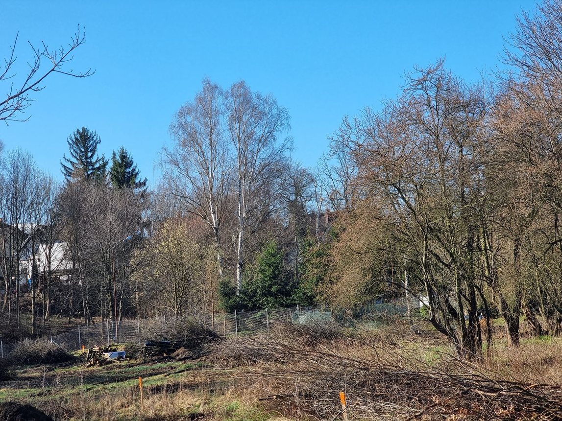 Ruch na działce pod domy komunalne