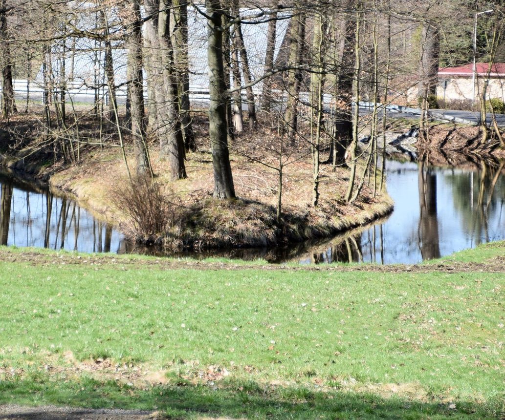 Wypiękniał przypałacowy park