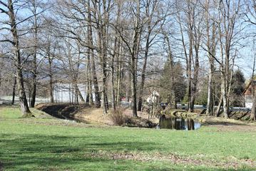 Wypiękniał przypałacowy park