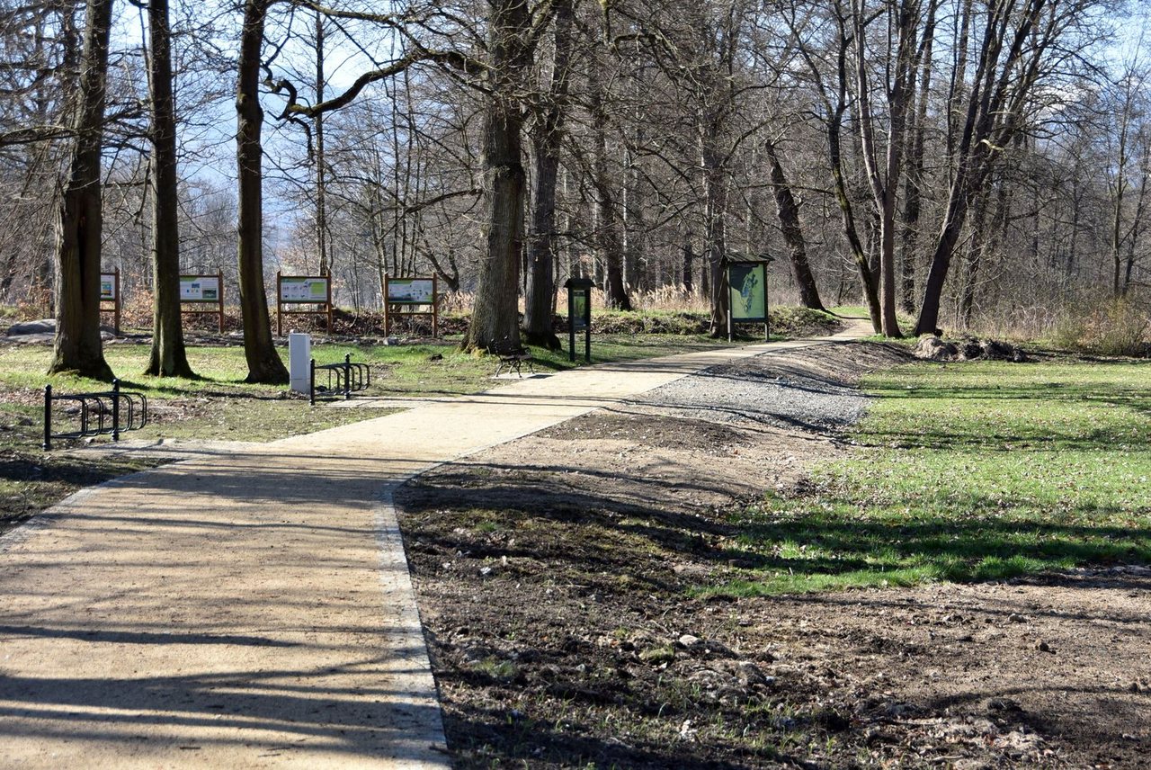Wypiękniał przypałacowy park