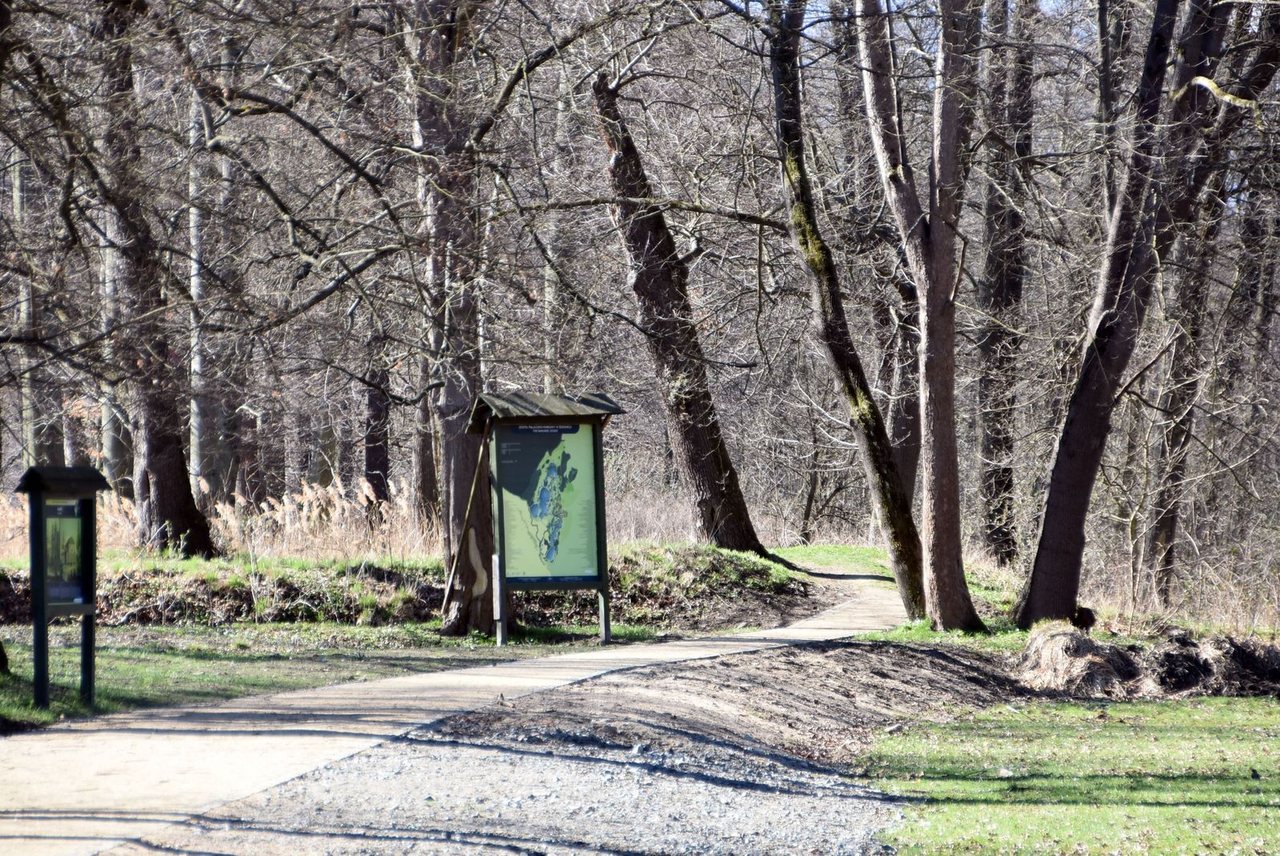 Wypiękniał przypałacowy park