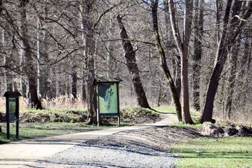 Wypiękniał przypałacowy park