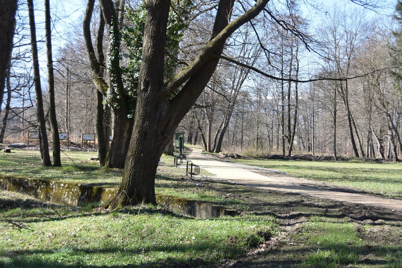 Wypiękniał przypałacowy park