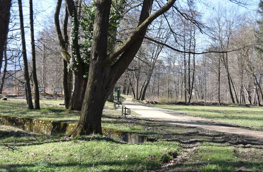 Wypiękniał przypałacowy park