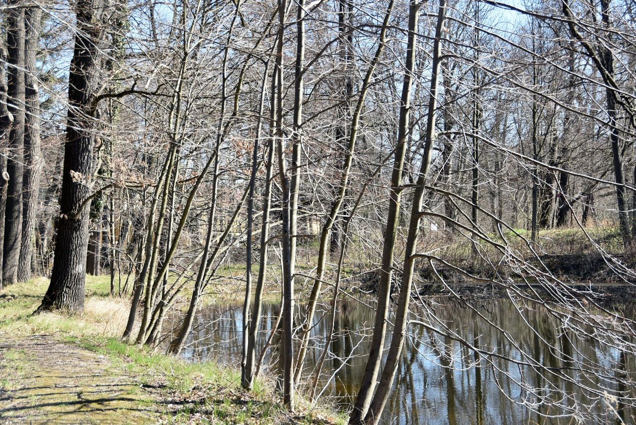 Wypiękniał przypałacowy park