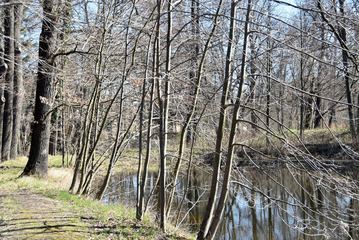 Wypiękniał przypałacowy park