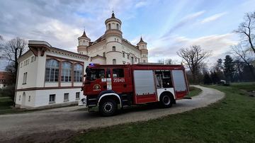 Żmija w pałacowej restauracji