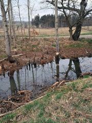 Niepokój wokół planowanej farmy fotowoltaicznej