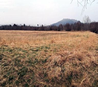Niepokój wokół planowanej farmy fotowoltaicznej