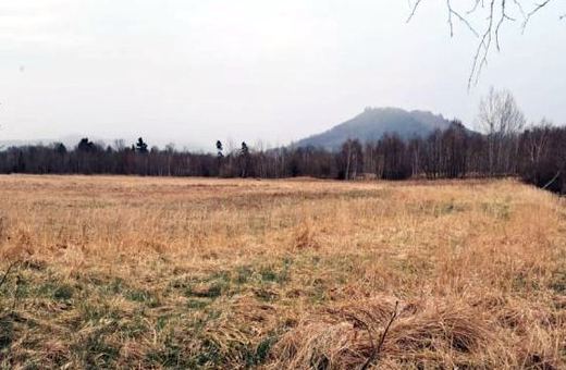 Niepokój wokół planowanej farmy fotowoltaicznej