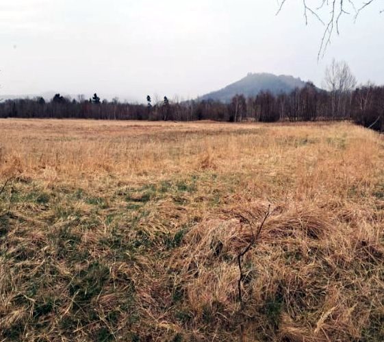 Niepokój wokół planowanej farmy fotowoltaicznej
