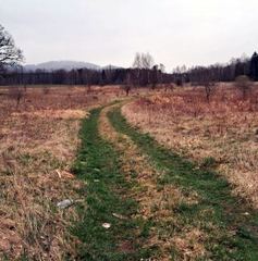 Niepokój wokół planowanej farmy fotowoltaicznej