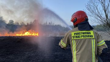 Strażacy ryzykowali zdrowie, aby ugasić trawę płonącą za Mechanikiem