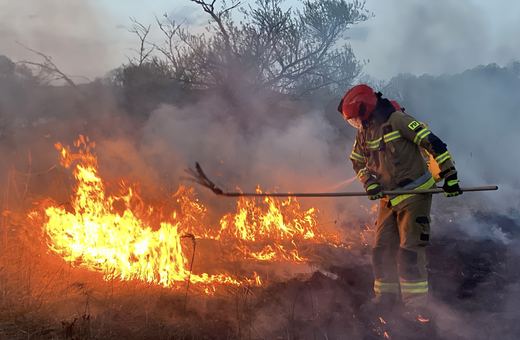 Strażacy ryzykowali zdrowie, aby ugasić trawę płonącą za Mechanikiem