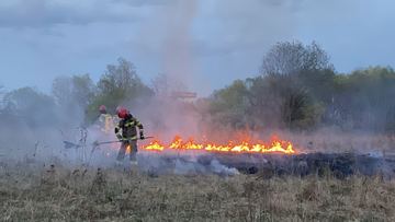 Strażacy ryzykowali zdrowie, aby ugasić trawę płonącą za Mechanikiem