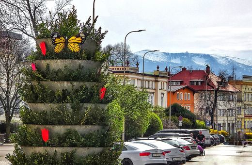 Świąteczna Jelenia Góra