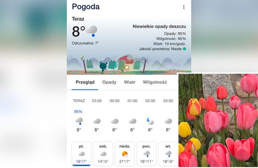 Pogoda na święta "w kratkę"