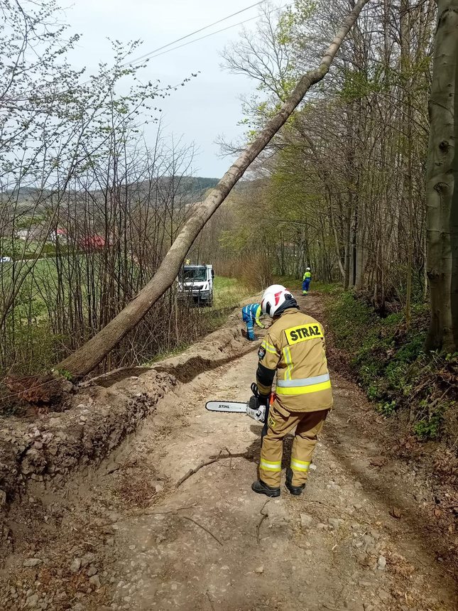 Wichura i ogień