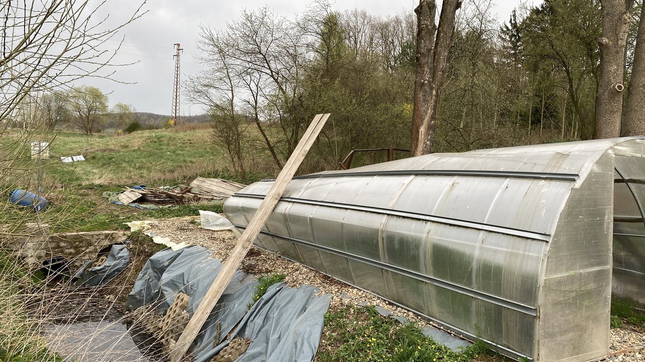 Drzewo spadło na szklarnię w Siedlęcinie