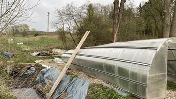 Drzewo spadło na szklarnię w Siedlęcinie