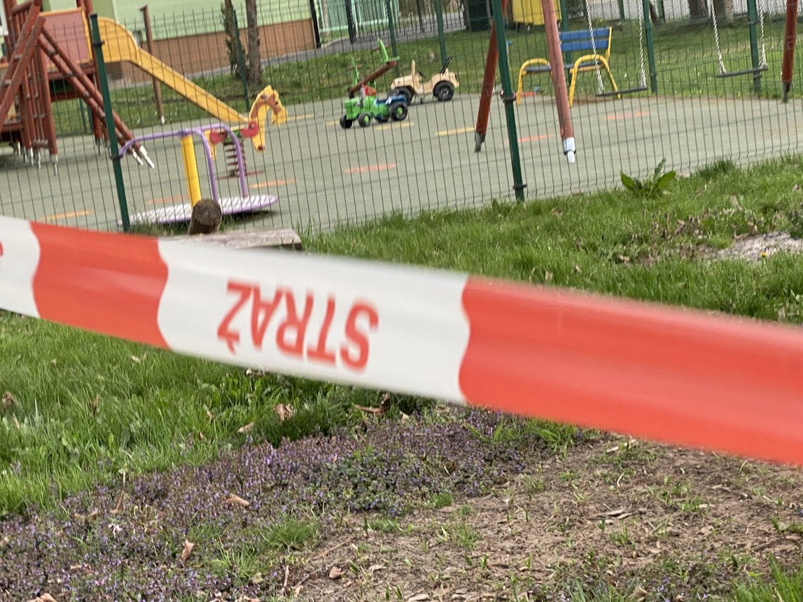 Drzewo spadło na szklarnię w Siedlęcinie