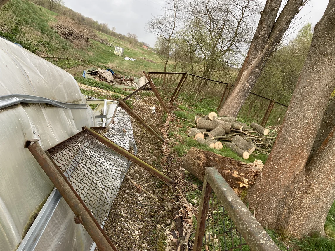 Drzewo spadło na szklarnię w Siedlęcinie
