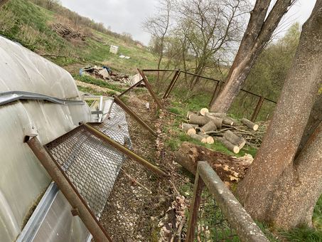 Drzewo spadło na szklarnię w Siedlęcinie