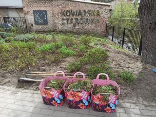 Kowarska Starówka rozkwita na wiosnę