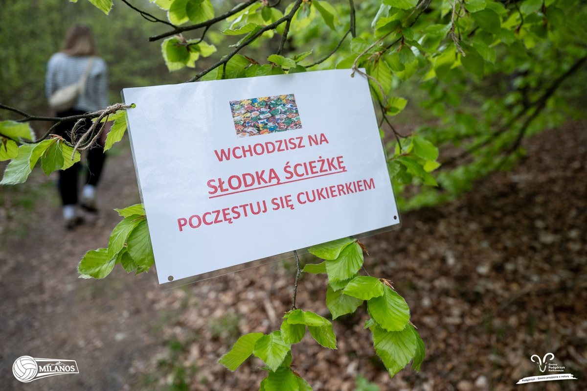 Podchody z Milanos w lesie – magia, przygoda i integracja