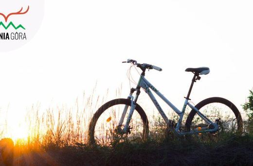 Sportowe otwarcie Dolnośląskiego Rowerowego Parku Umiejętności