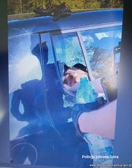 Policjanci uratowali psa z rozgrzanego auta