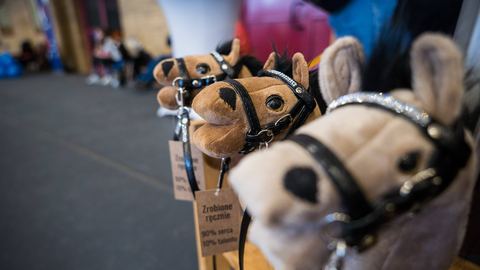 Hobby horsing galopuje do Jeleniej Góry