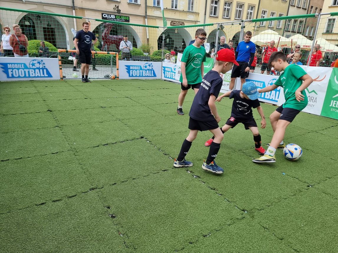 Piknik służb mundurowych na Święto Flagi