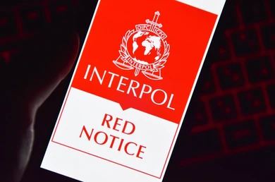 Jeleniogórscy strażnicy graniczni zatrzymali groźnego Ukraińca poszukiwanego przez Interpol