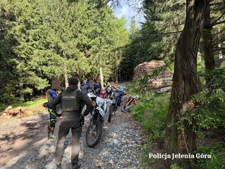 Policja i straż leśna przeciwko nielegalnym rajdom po lesie