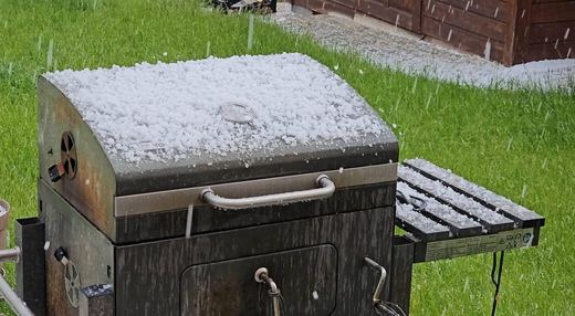 Zimna Zośka i trzej ogrodnicy