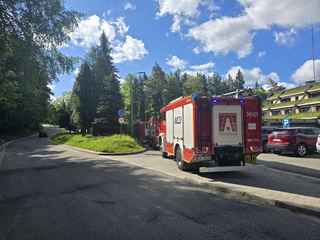 Czujka zadziałała, straż interweniowała