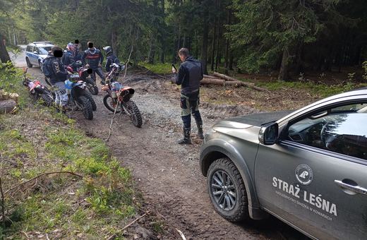 Crossowcy i quadowcy niszczą lasy