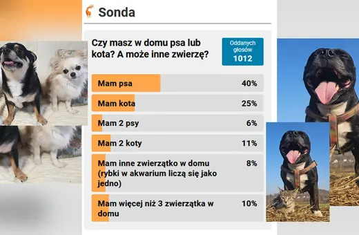 Większość ma pieski lub kotki