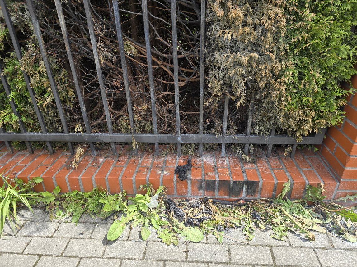 Kto spalił banery w Cieplicach?