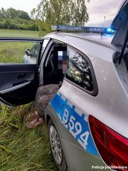 Uciekał przed policją był pod wpływem metamfetaminy