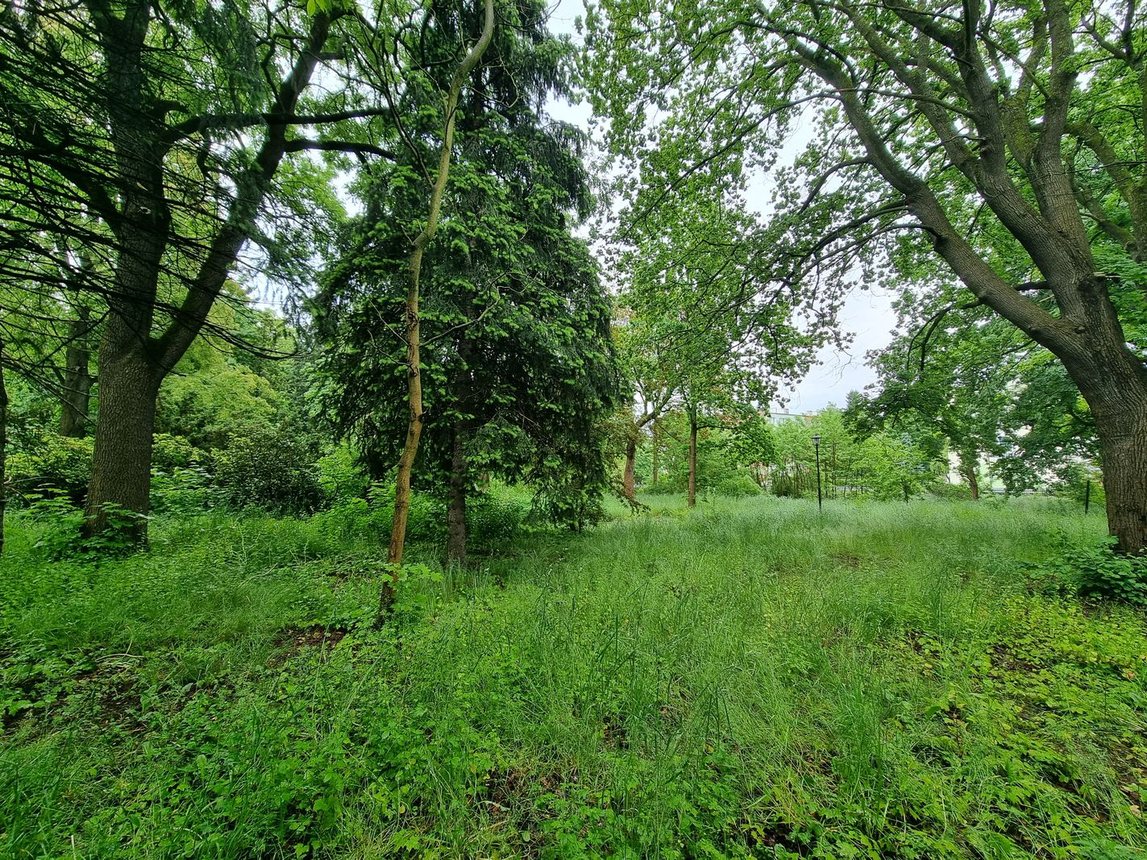 Park przy Zameczku doczeka się rewitalizacji