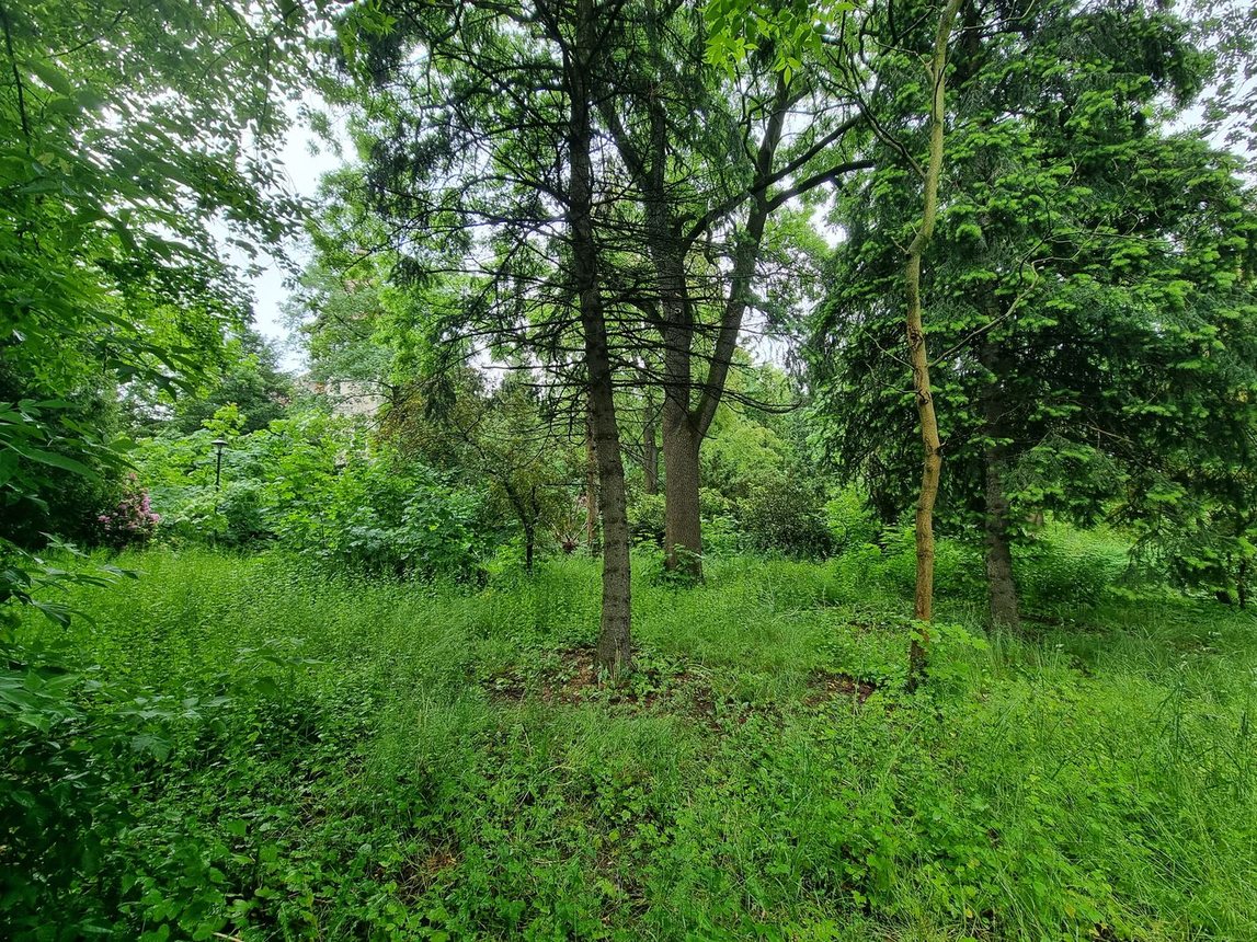 Park przy Zameczku doczeka się rewitalizacji