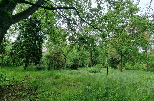 Park przy Zameczku doczeka się rewitalizacji