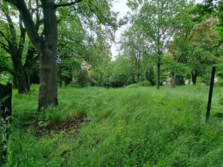 Park przy Zameczku doczeka się rewitalizacji