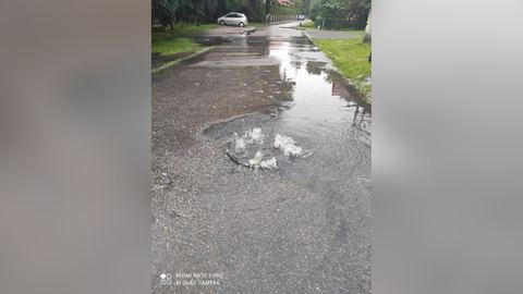 Warto się pospieszyć – abolicja tylko do końca czerwca