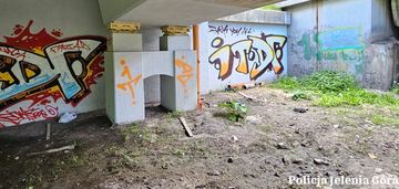 Zatrzymany za graffiti i atak na strażniczki
