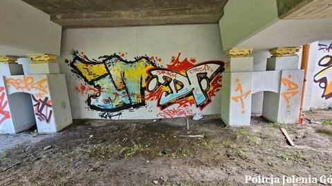 Zatrzymany za graffiti i atak na strażniczki