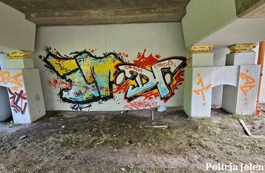 Zatrzymany za graffiti i atak na strażniczki