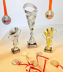 Mistrzynie z Jeleniej Góry
